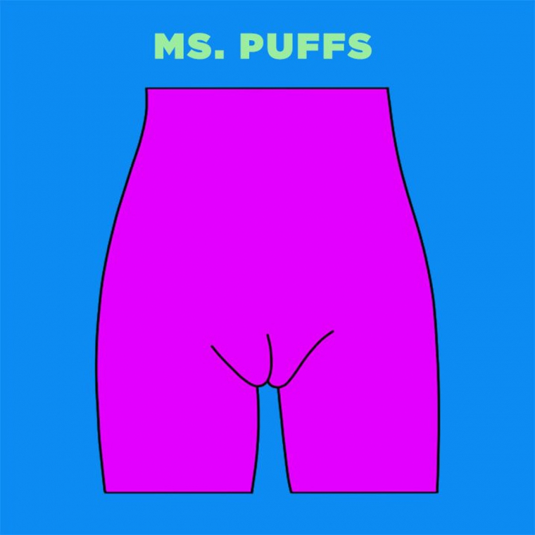 Ms-Puffs-vagina-illustration.jpg